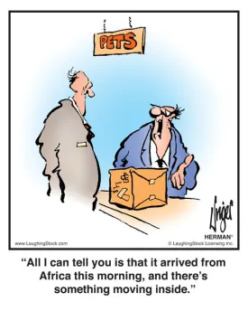 All I can tell you is that it arrived from Africa this morning, and there’s something moving inside.