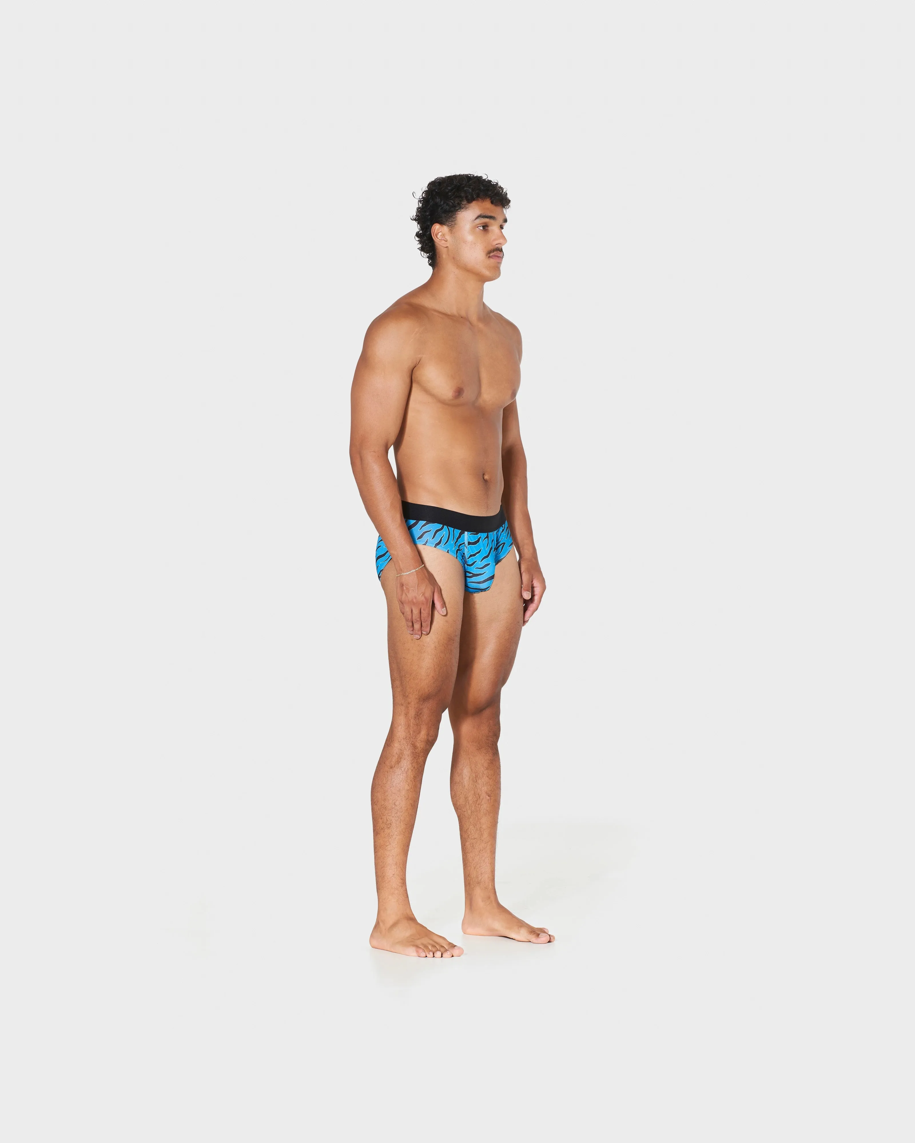 AQUA TIGER (BRIEF)