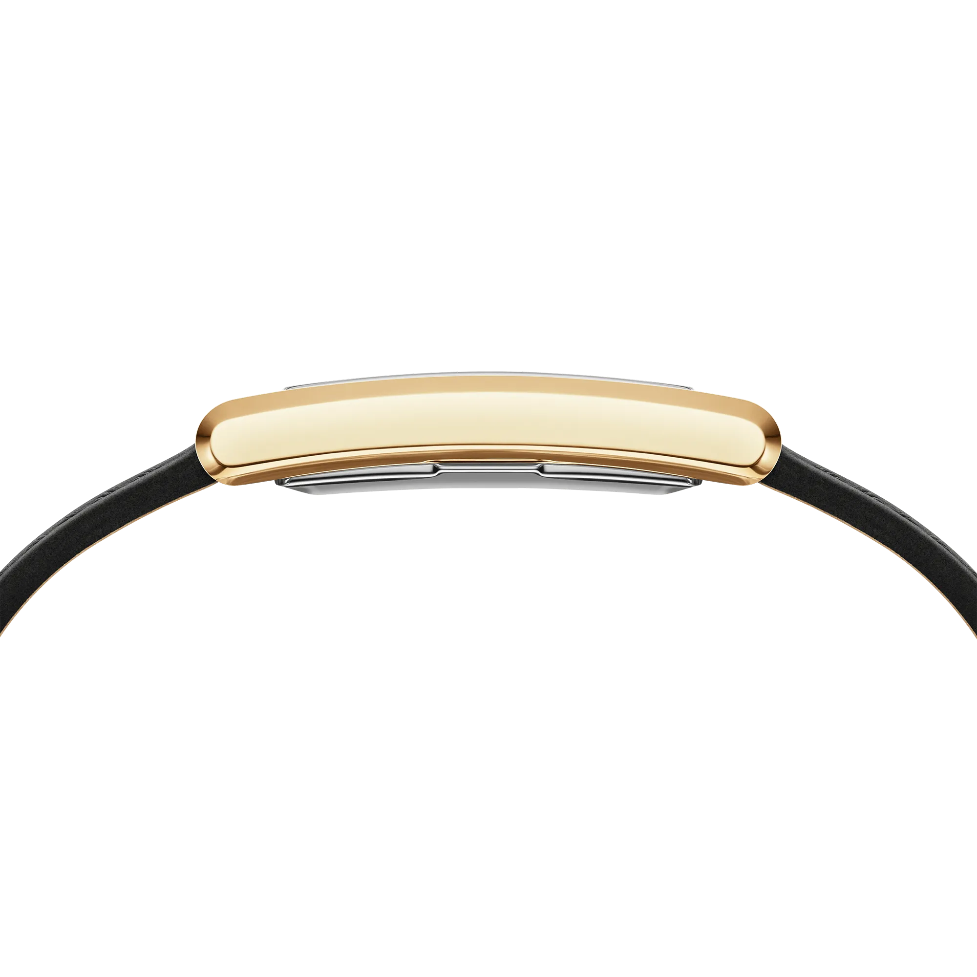 Bound Black Crocodile Gold