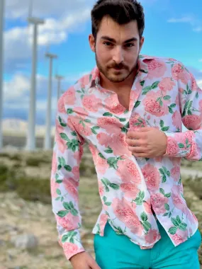 creamy sasparilla LS
