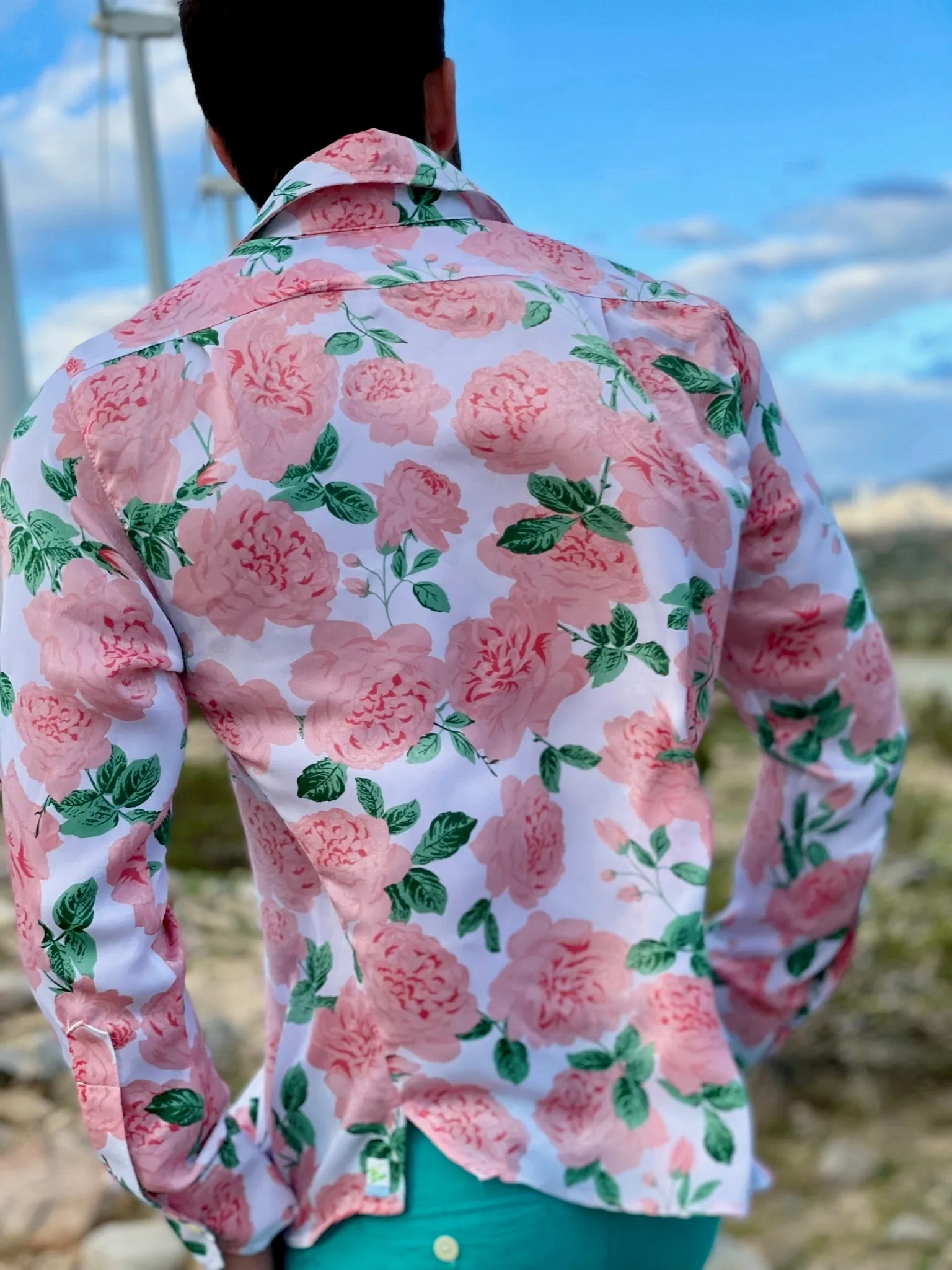 creamy sasparilla LS