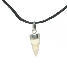 Crocodile Tooth Pendant Black Cotton Necklace
