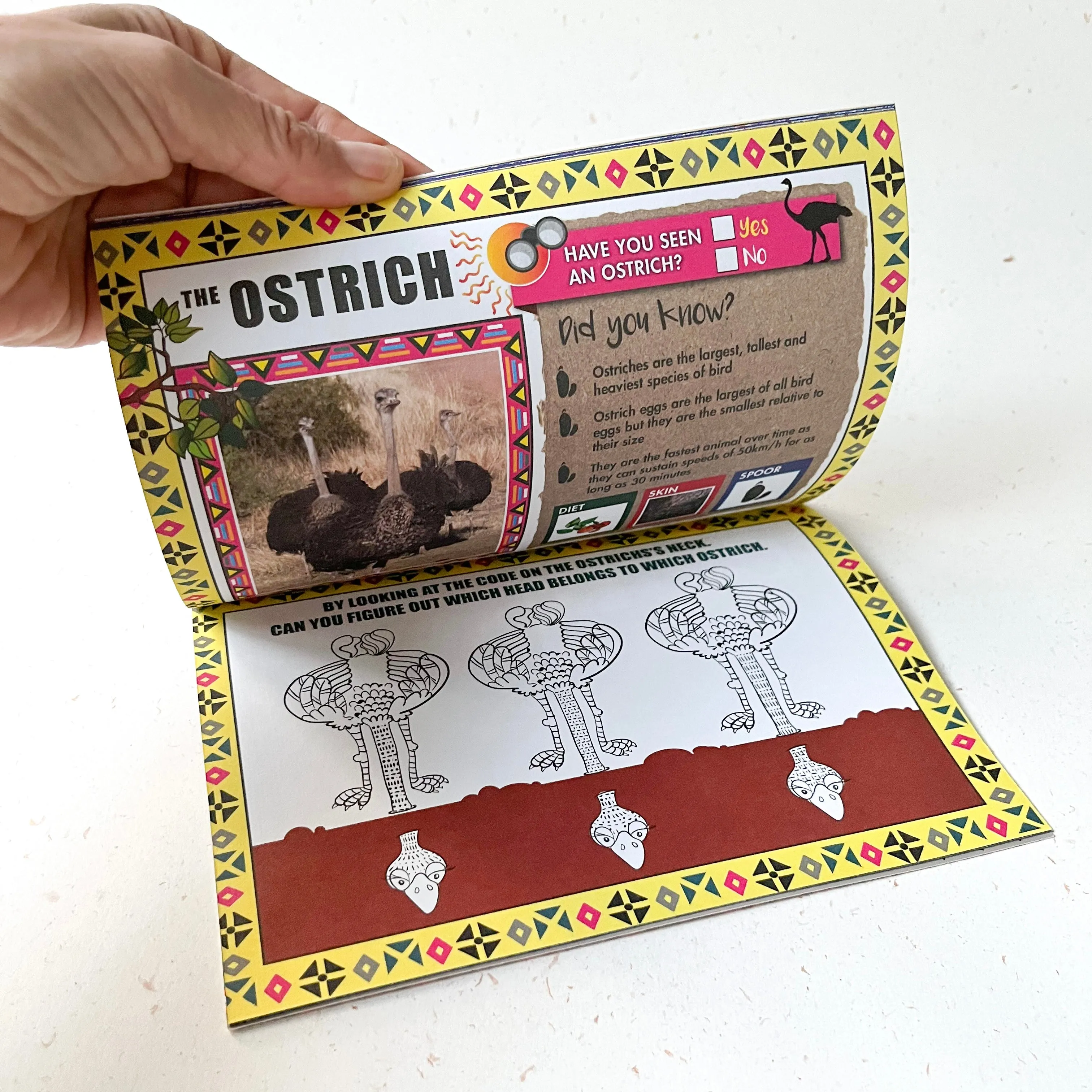 Game Reserve Activity Book (Age 8 )