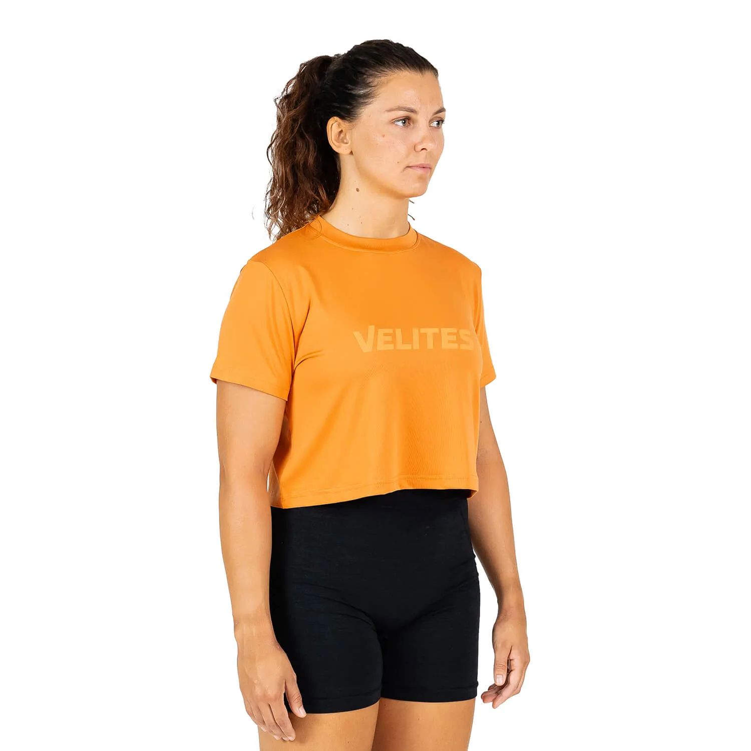 Fall Crop Holo Pack of 3