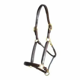 Personalized Padded Leather Halter