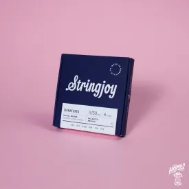 Stringjoy - Signatures - Nickel Wound Electric Guitar Strings - Medium 11-50