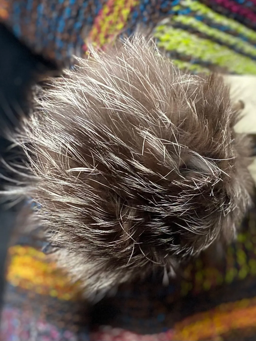 Vintage Fur PomPom